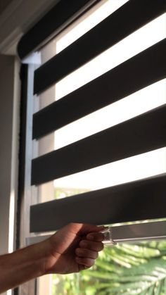 See Our Zebra Blinds in Action