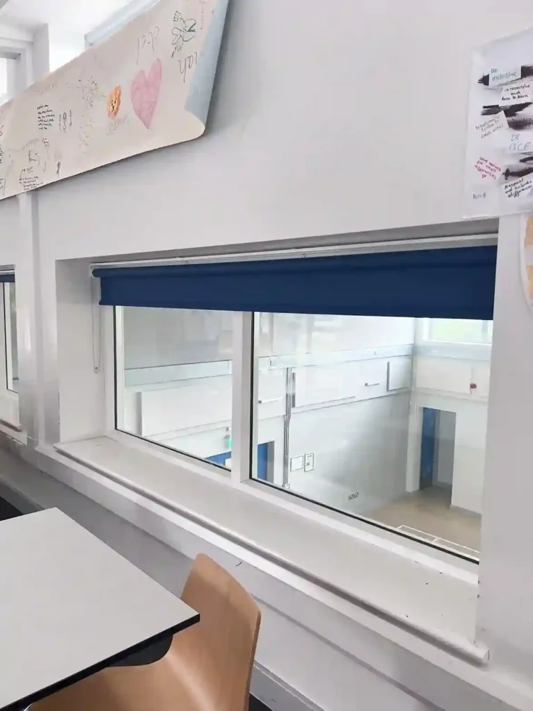 school blinds dubai store